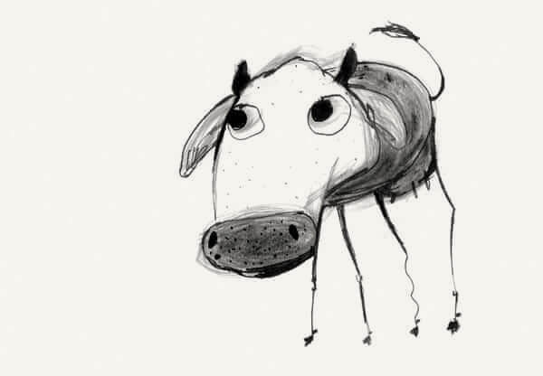 Cow study