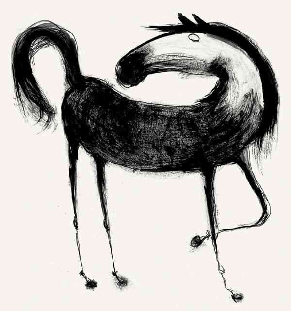 Horse study