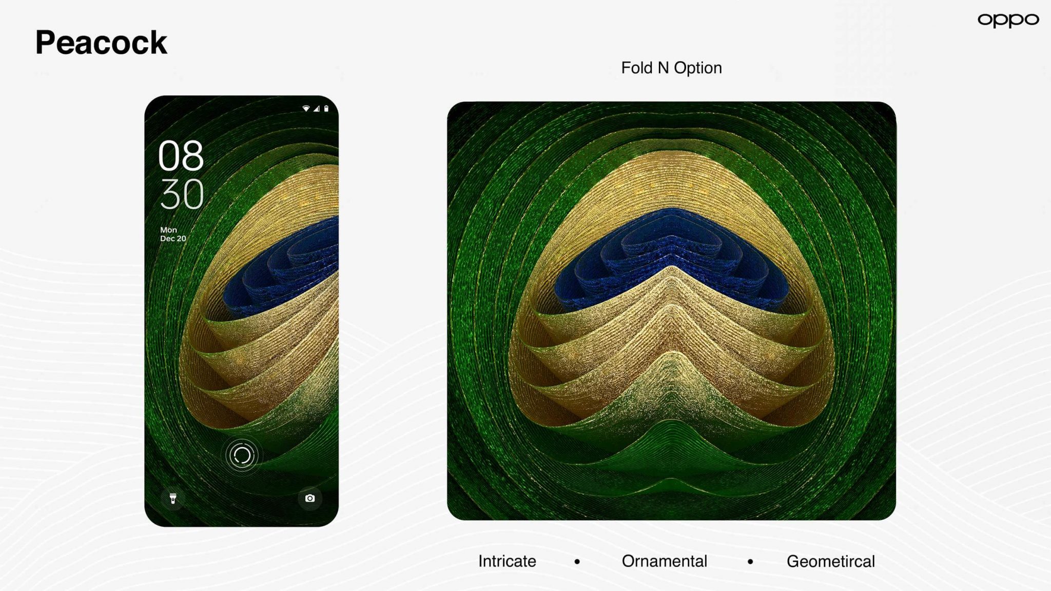 Peacock illustration
